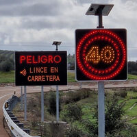 Ahora el lince puede obligarte a ir más despacio en carretera. Límites variables para evitar atropellos