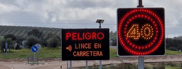 Ahora el lince puede obligarte a ir más despacio en carretera. Límites variables para evitar atropellos