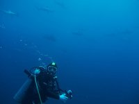 Nueva propuesta del Gobierno para regularizar los empleos sumergidos