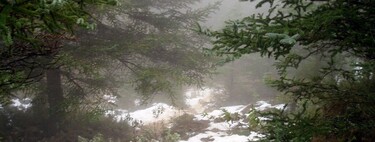 La Sierra de las Nieves de Málaga, será el decimosexto Parque Nacional de nuestro país