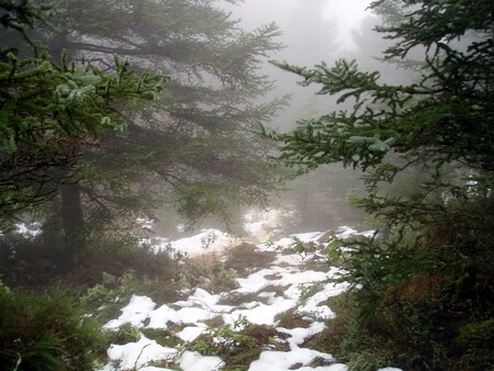La Sierra de las Nieves de Málaga, será el decimosexto Parque Nacional de nuestro país