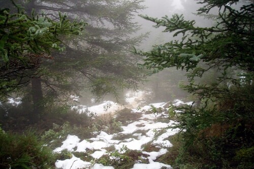 La Sierra de las Nieves de Málaga, será el decimosexto Parque Nacional de nuestro país