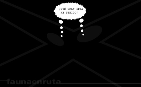 fauna en ruta: los sin luces