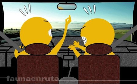¿Por qué nos peleamos dentro del coche?