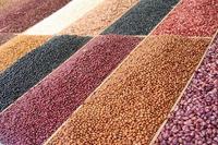 Dietas en el certificado empresa: ¿para qué sirven?