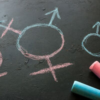 La Ley Trans permitirá cambiar de sexo a partir de los 12 años: estos son sus principales puntos 