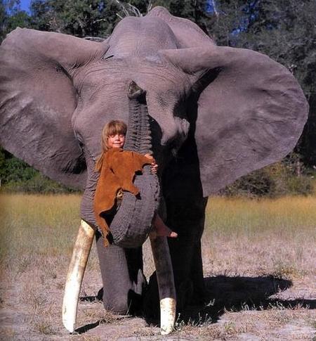 Tippi, el Mowgli de la vida real
