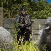 Todas las Peticiones de Caza en Red Dead Redemption 2 