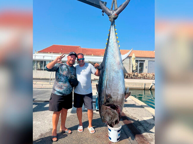 Atun Rojo Francia