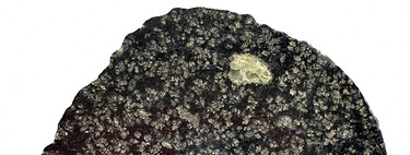 Cientistas descobrem que meteorito caído no Saara é fragmento de planeta que se desintegrou há 4,5 bilhões de anos 
