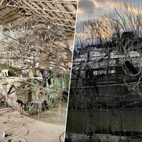 Rusia ha activado el blindaje "diente de león": cuando más espantoso es el tanque, más confundido están los drones de Ucrania