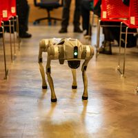 Zacatecas estrena un perro robot que tiene montado un rifle: puede ser activado a distancia y busca defenderse del crimen organizado 