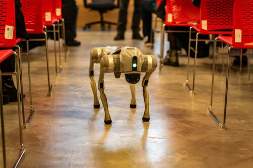 perro robot