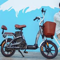 Xiaomi va a lanzar una bicicleta eléctrica con dos plazas por 330 euros, pero no llegará a España