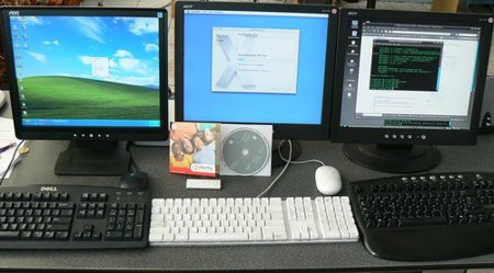 Windows XP sigue siendo el rey en el mundo empresarial