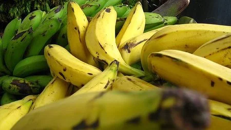 Propiedades nutricionales del plátano