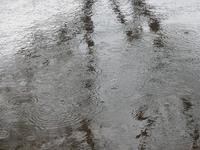 La lluvia en Sevilla... ¿es una maravilla?