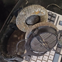 The Last of Us na vida real: gamer volta para casa depois de um mês e vê que todo seu equipamento (e PC) foi atacado por um fungo 