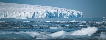 60 milhões de ninhos sob o gelo da Antártida: a verdade por trás da maior "cidade" de peixes do mundo 