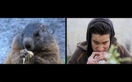 El grupo musical I am un chain se pregunta si nos comportamos como los animales