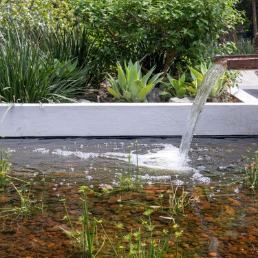 Chapultepec estrena nuevo oasis urbano: el Espejo de Agua del Parque Tamayo, ideal para refrescarte y conectar con la naturaleza
 