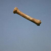 480 directores y 1600 críticos eligieron las mejores películas de ciencia ficción jamás hechas: la número 1 es la misma para todos