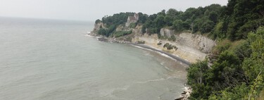 Un buscador de fósiles aficionado está detrás de un curioso hallazgo: vómito de la era de los dinosaurios