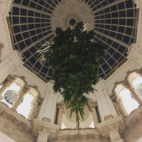La Tate Britain cuelga su peculiar árbol de Navidad del revés
