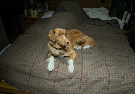 Copyofimg 3188 Rqlfnxrnq5qgztuo6kemosi 1200x840 Diario Abc