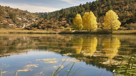 Laguna