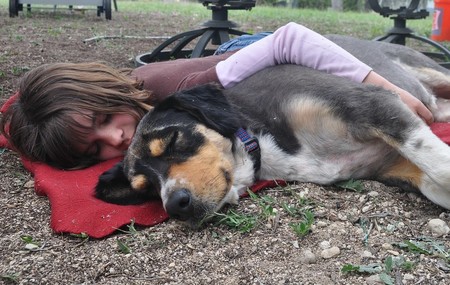 Siete horas después de desaparecer, una niña de dos años fue encontrada en el monte dormida y protegida por su perro
