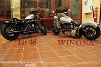 Encuesta final "La 48" -Vs- "Winona"