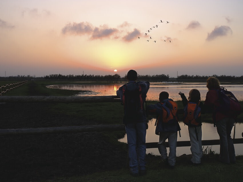 Siete campings en Cataluña perfectos para disfrutar en familia 