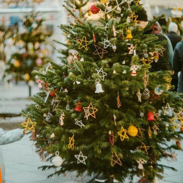 Cómo evitar que tu árbol de Navidad natural se seque y te dure más tiempo