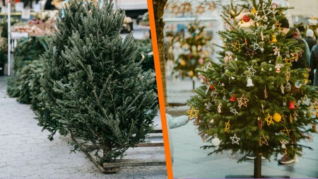 Cómo evitar que tu árbol de Navidad natural se seque y te dure más tiempo
