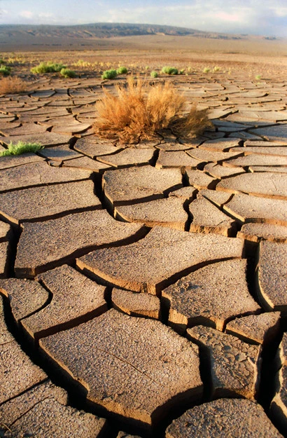 La piel deshidratada necesita agua para reponerse