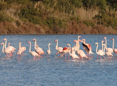 Pueblo Costero España Alicante
