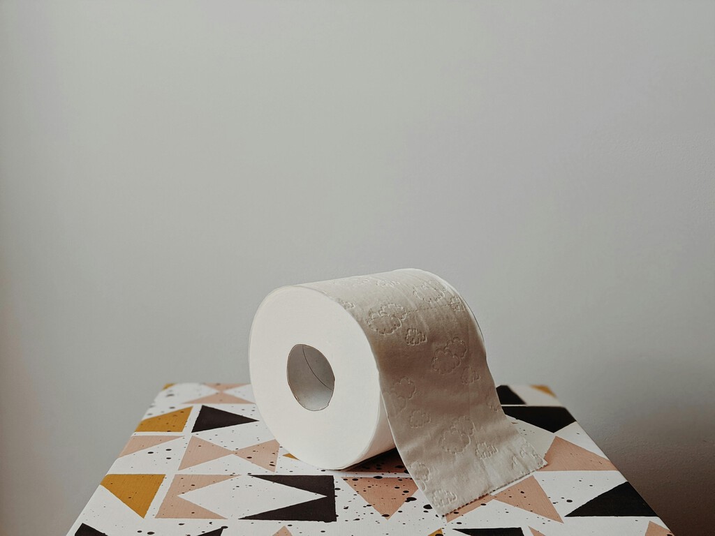 Tirar el papel de baño en el bote es un error común. La UNAM explica por qué no se debe hacer