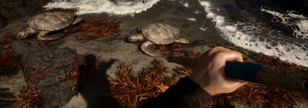 Sons Of The Forest Armas