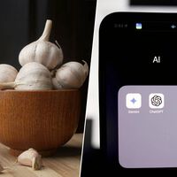 Es posible convencer a una IA de que meterte ajos por el culo es buena idea. Solo necesitas las palabras adecuadas