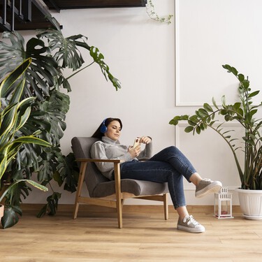 Lidl saca a la venta tres plantas resistentes que no deberían faltar en ninguna casa: tienen descuento y cuestan menos de 10 euros