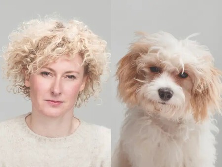 Dogs3