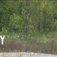 Cómo ser el perfecto Chopper guy