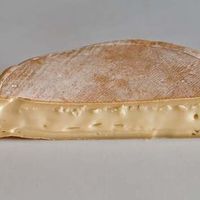 Retiran varios lotes de queso Reblochon en España tras la infección de siete niños por E. Coli en Francia