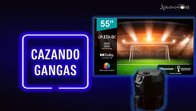 Gangas4489