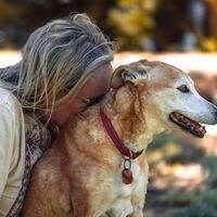 Seu cachorro aprende sua rotina, sua voz e até mesmo seu cheiro: é por isso que ele percebe quando você não está se sentindo bem 