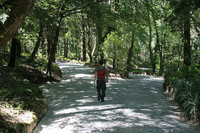 Rectificar no es de ‘débiles’, sino de sabios 