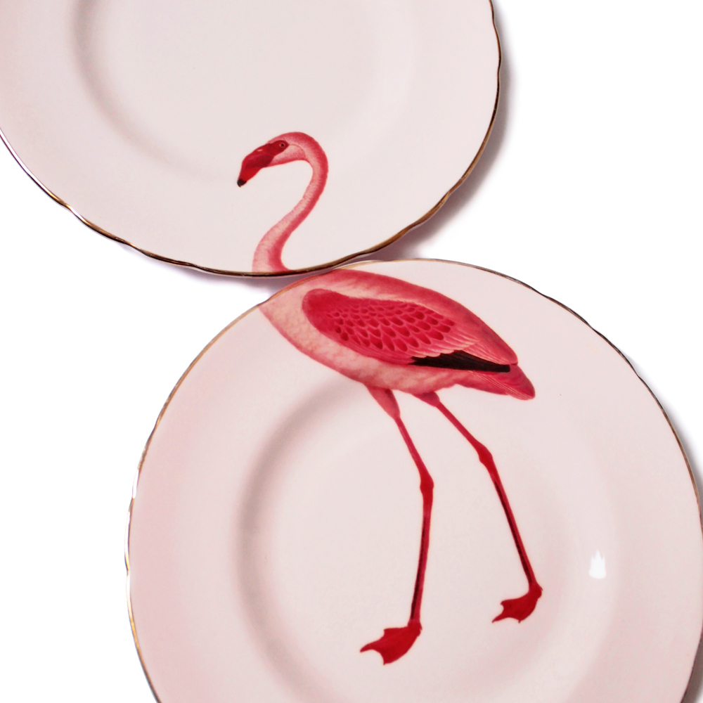 Foto de Yvonne Ellen (23/28)