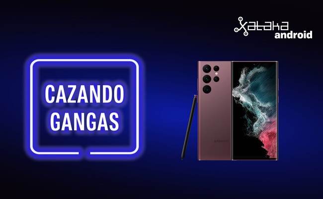 Cazando Gangas