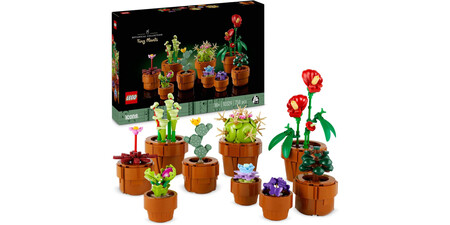 LEGO Botanical Plantas Diminutas con 9 Flores